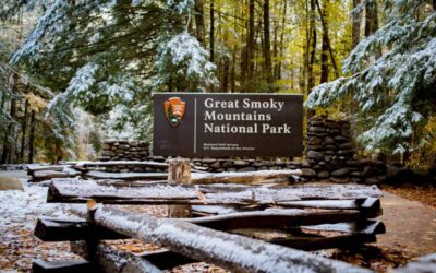Top 5 Hiking Paths in the Smoky Mountains