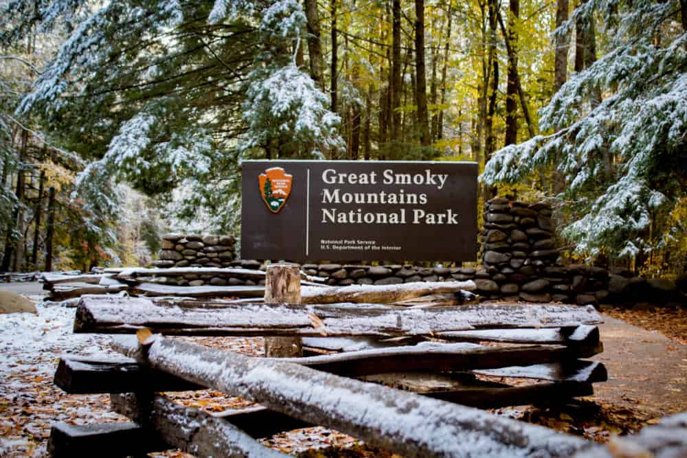Top 5 Hiking Paths in the Smoky Mountains